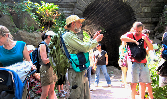 Photo of Wildman Steve Brill conducting a tour