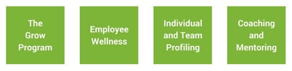 Screenshot of Paula Quinsee corporate workshop offerings