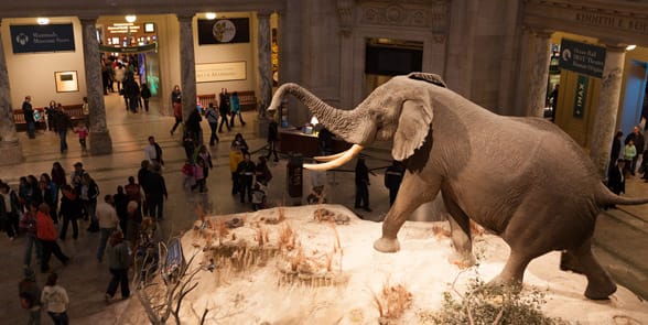 Photo of a museum