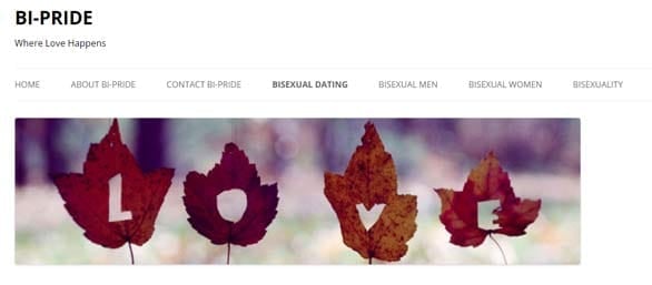 Screenshot of the Bi-Pride blog