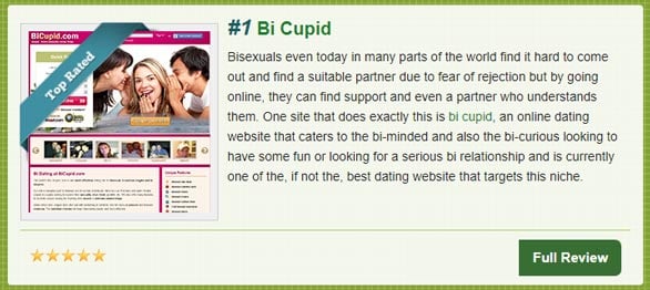 Screenshot of Top10BiDatingSites.com quick review Screenshot of Top10BiDatingSites.com quick review