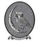 The Spotted Owl Logo
