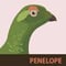 Penelope Logo