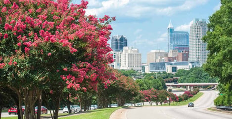 Raleigh Nc