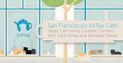 San Francisco’s KitTea Cafe Helps Cat-Loving Couples Connect With Each Other and Befriend Felines