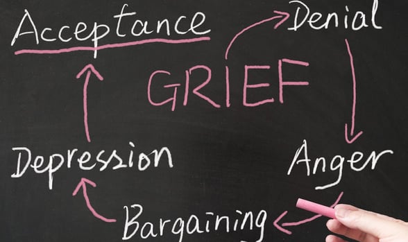 Photo of the grief cycle Photo of the grief cycle