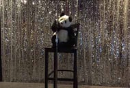 Singing Pandas Asian Restaurant &amp; Bar