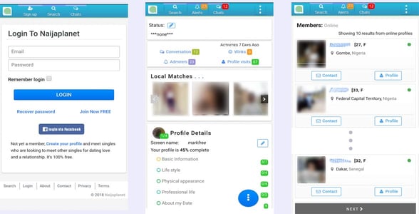 Screenshot of Naijaplanet