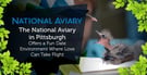 The National Aviary in Pittsburgh Offers a Fun Date Environment Where Love Can Take Flight
