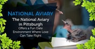 The National Aviary in Pittsburgh Offers a Fun Date Environment Where Love Can Take Flight