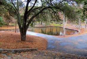 Photo of Irvine Regional Park