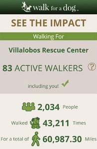 Screenshot of the Walk for a Dog app