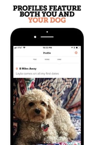 Screenshot of the Dig app