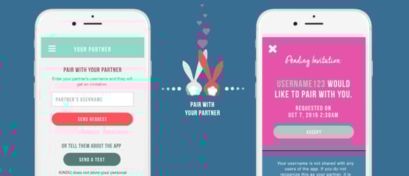 Screenshot of a Kindu pairing