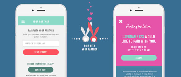 Screenshot of a Kindu pairing