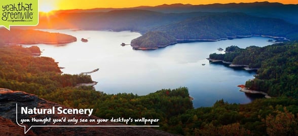 Screenshot from VisitGreenvilleSC.com