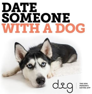 Photo of a dog from Dig