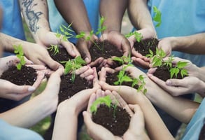 Photo of volunteers with plants in their hands