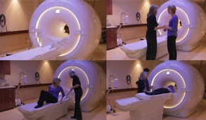 Screenshot of brain scans from the Anatomy of Love