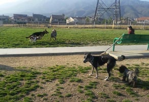 Photo of the Fontana Dog Park