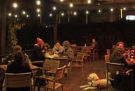 The Public House