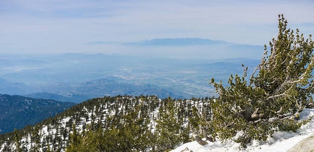 Moreno Valley Ca