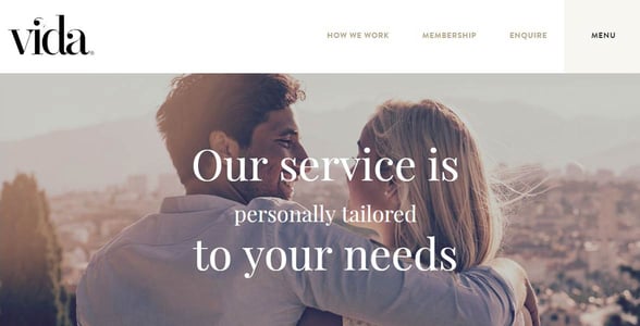 Screenshot of The Vida Consultancy's website