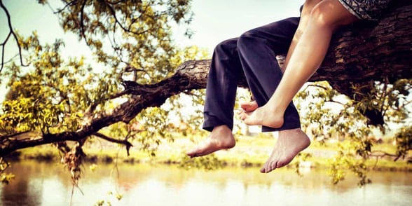 Photo of a couple sitting in a tree