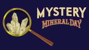 Screenshot of Mystery Mineral Day ad