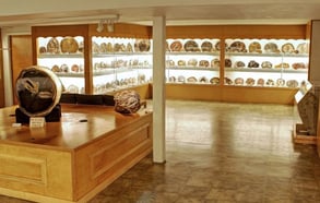 Photo of exhibits at The Rice Museum