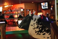 Shooters Bar &amp; Billiards