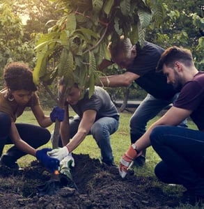 Photo of volunteers planting a tree