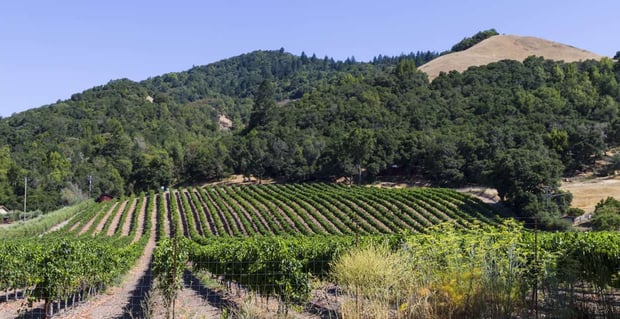 Santa Rosa Ca