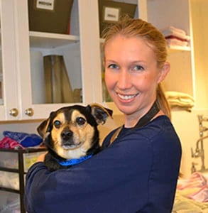 Photo of a volunteer at the animal shelter