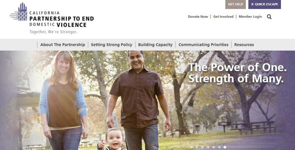Screenshot of The Partnership's website