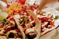 El Diablo Loco Cantina &amp; Tequila Bar