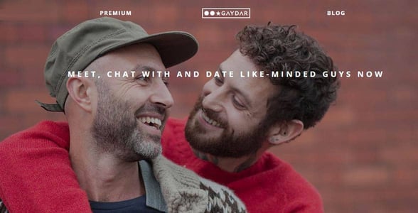 Screenshot of Gaydar