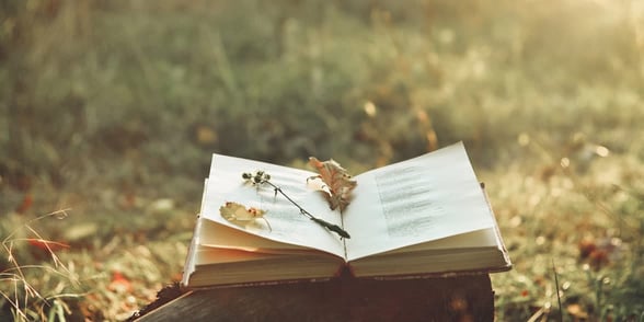 Photo of flowers on a book