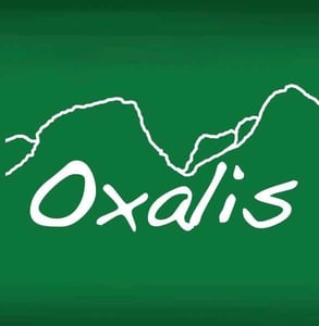 The Oxalis Adventure logo
