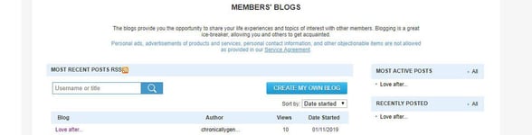 Screenshot of the PozMatch members blog Screenshot of the PozMatch members blog