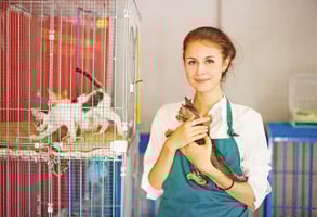 Photo of a pet shelter volunteer