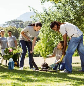Photo of volunteers