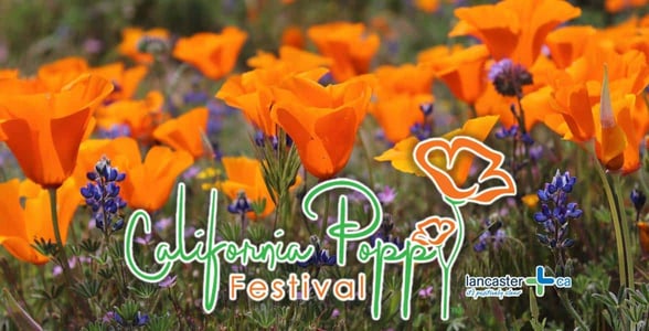 The California Poppy Festival logo