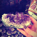 deepviolet deepviolet