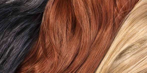 Photo of different hair colors