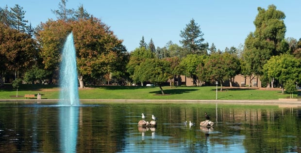 Sunnyvale Ca