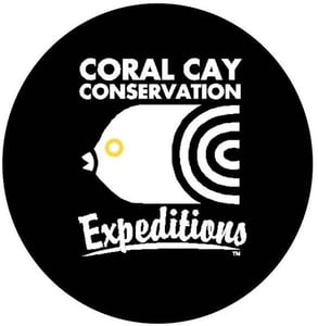 The Coral Cay logo