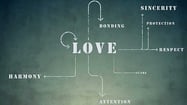 Love in the Time of Algorithms