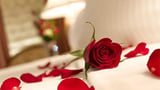 3 Experiments That Confirm Flowers Are the Ultimate Wingmen