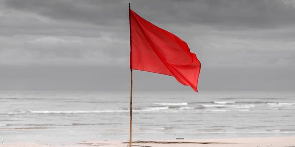 Photo of a red flag on a beach